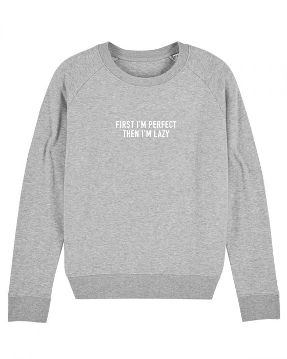 Perfect & Lazy Sweater - Heather Grey image